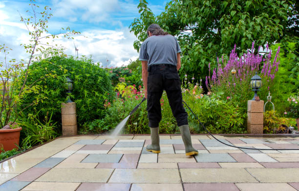 Best Driveway Pressure Washing  in Holly Springs, GA
